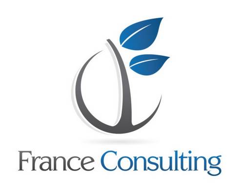 Logo France Consulting
